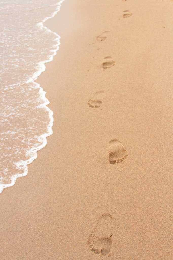 Photograph of Beach Photo Cover